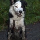 Ein ganz normaler Spaziergang