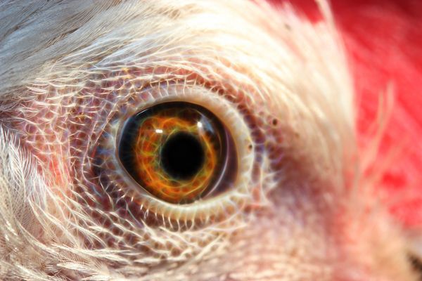 Ein ganz normales...