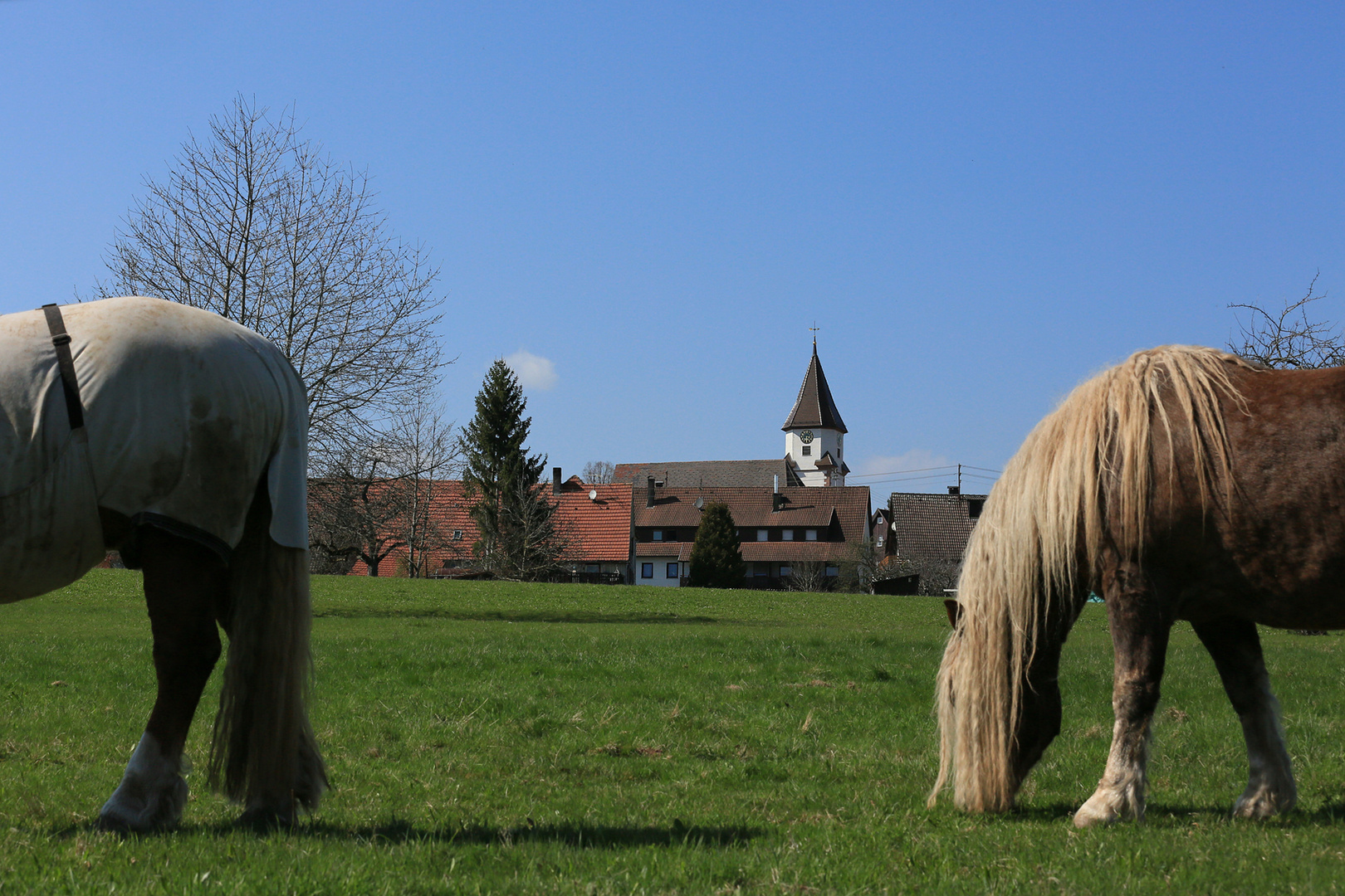 Ein ganzes Pferd ;-)