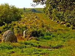 ein gar steiniger Weg....