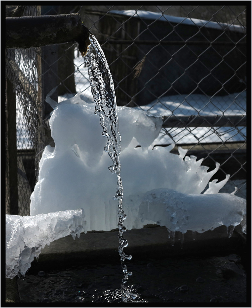 ein garstiger Zaun, ein verwahrloster Brunnen... aber dann...