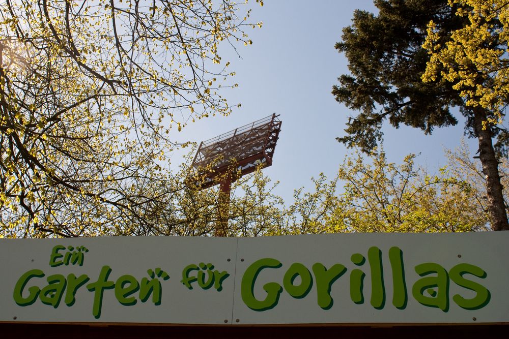 Ein Garten für Gorillas