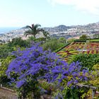 Ein Garten hoch über der Stadt