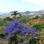 Ein Garten hoch über der Stadt