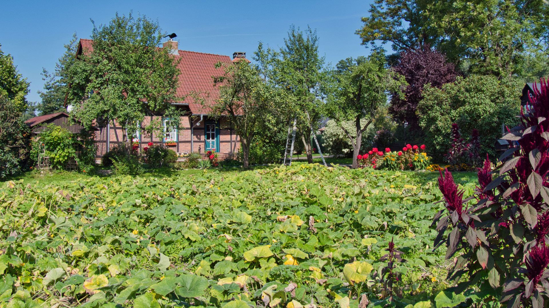 Ein Garten im Spreewald