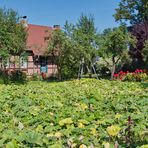 Ein Garten im Spreewald