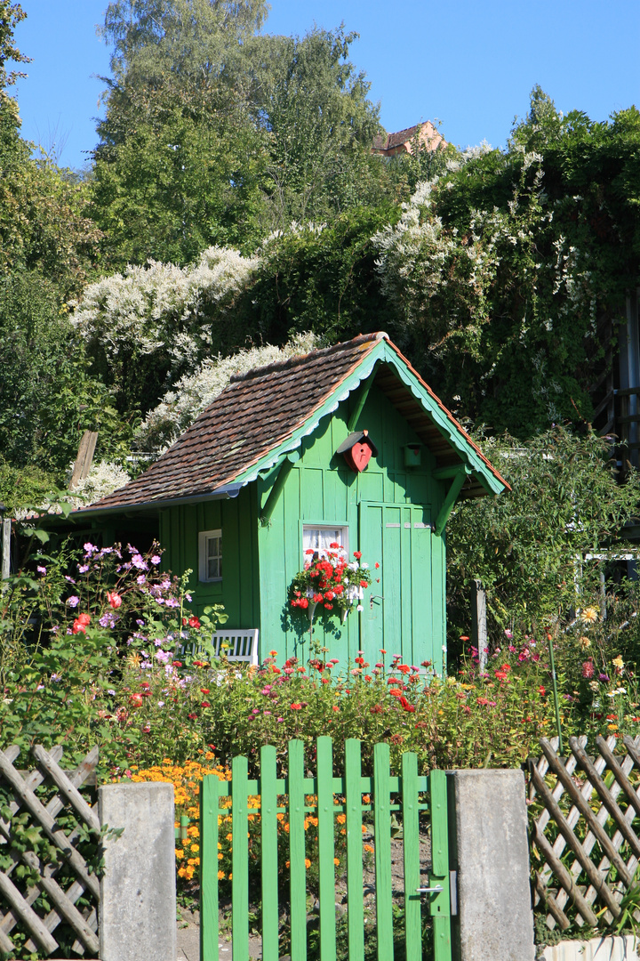 ein Garten irgendwo