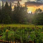 Ein Garten vom Waldbauern