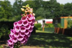 Ein Garten zum Verweilen