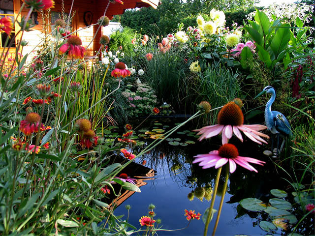 Ein Gartenteich in Geusa (Sachsen-Anhalt)