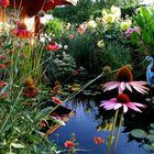 Ein Gartenteich in Geusa (Sachsen-Anhalt)