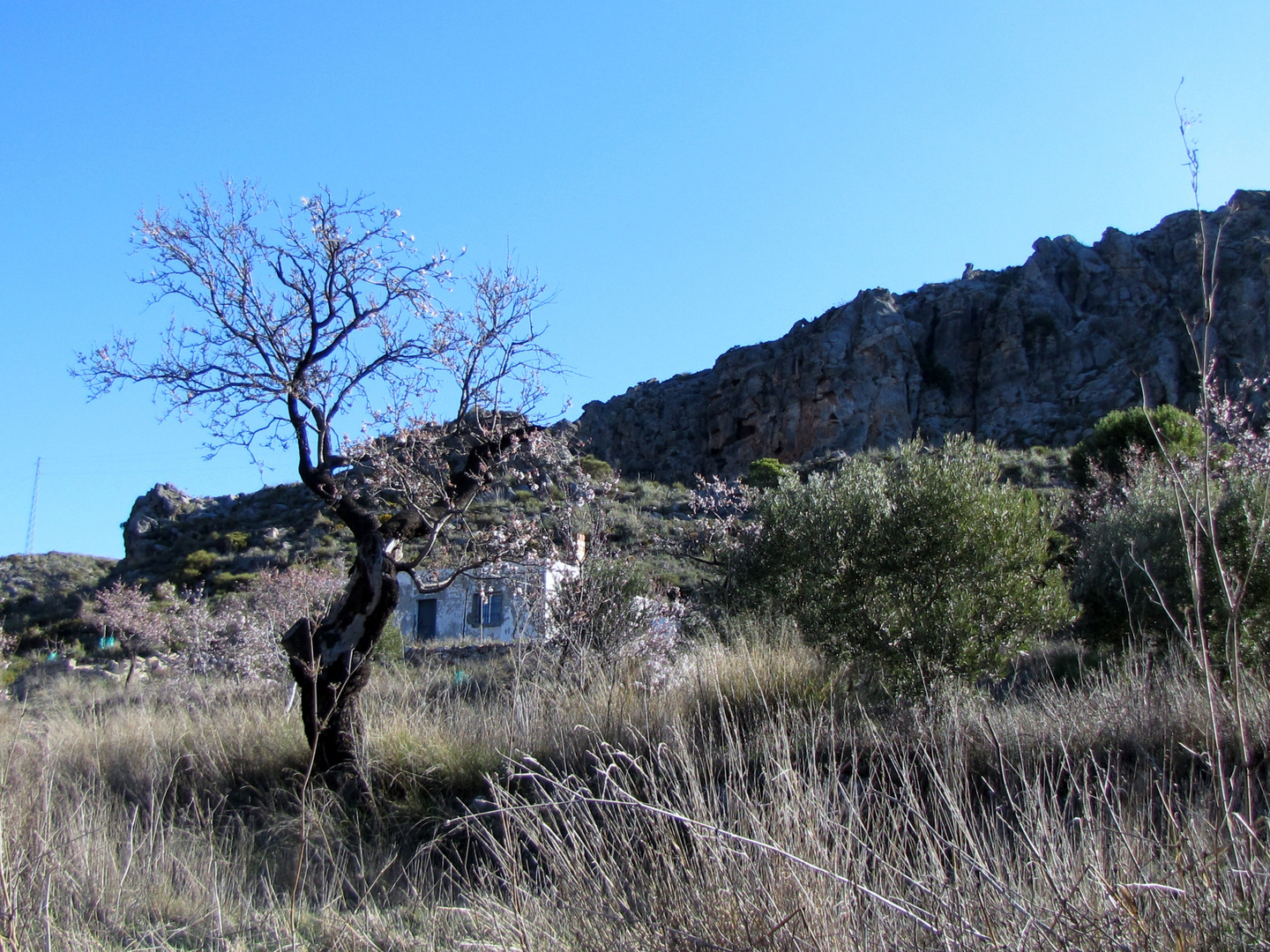 Ein Gebirgszug (Almeria)