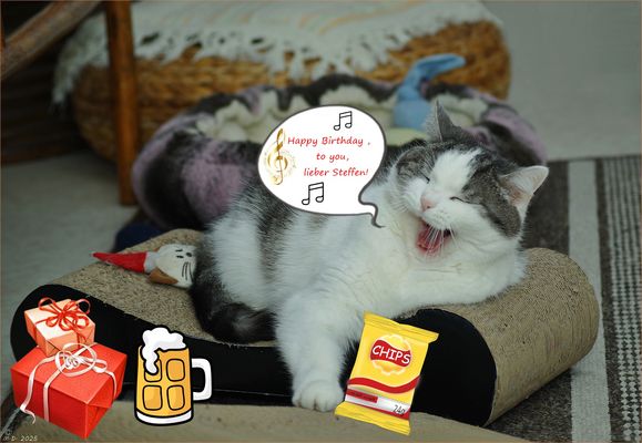 Ein Geburtstagsständchen für dich ...