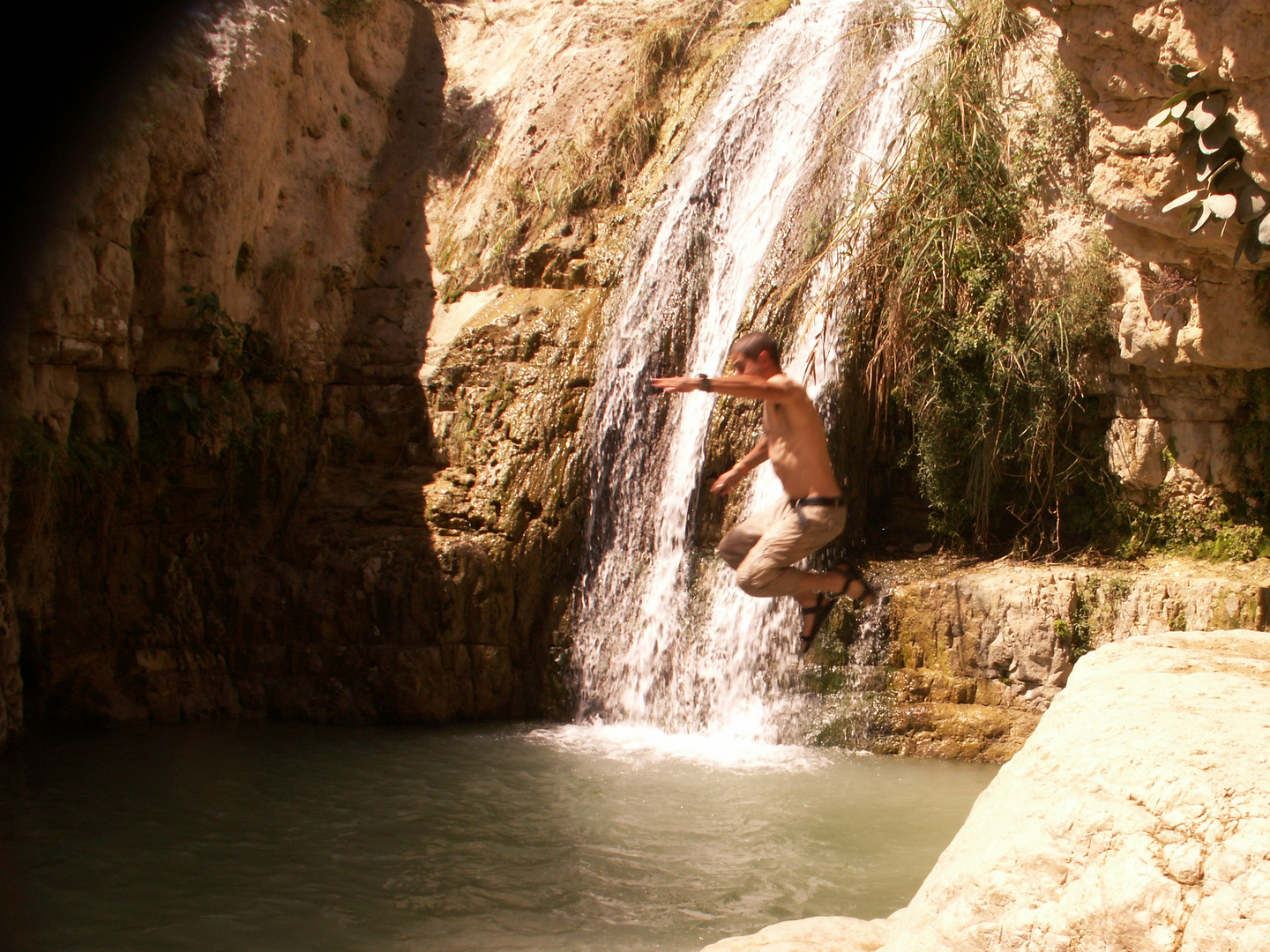 Ein Gedi