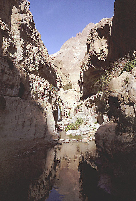 Ein Gedi Spring