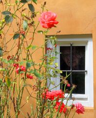 Ein Gefangener mit schönem Ausblick