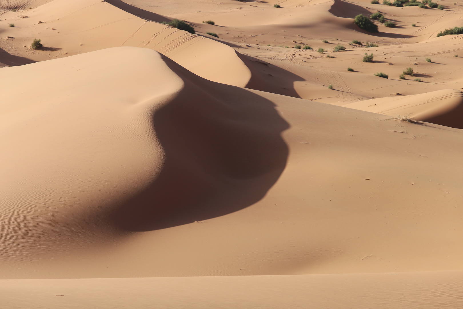 Ein Gefühl... Erg Chebbi..