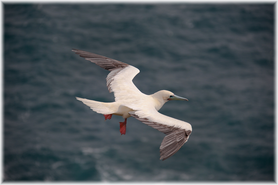 Ein Gefühl - fast so wie auf Helgoland