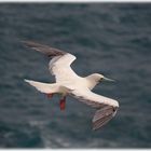 Ein Gefühl - fast so wie auf Helgoland