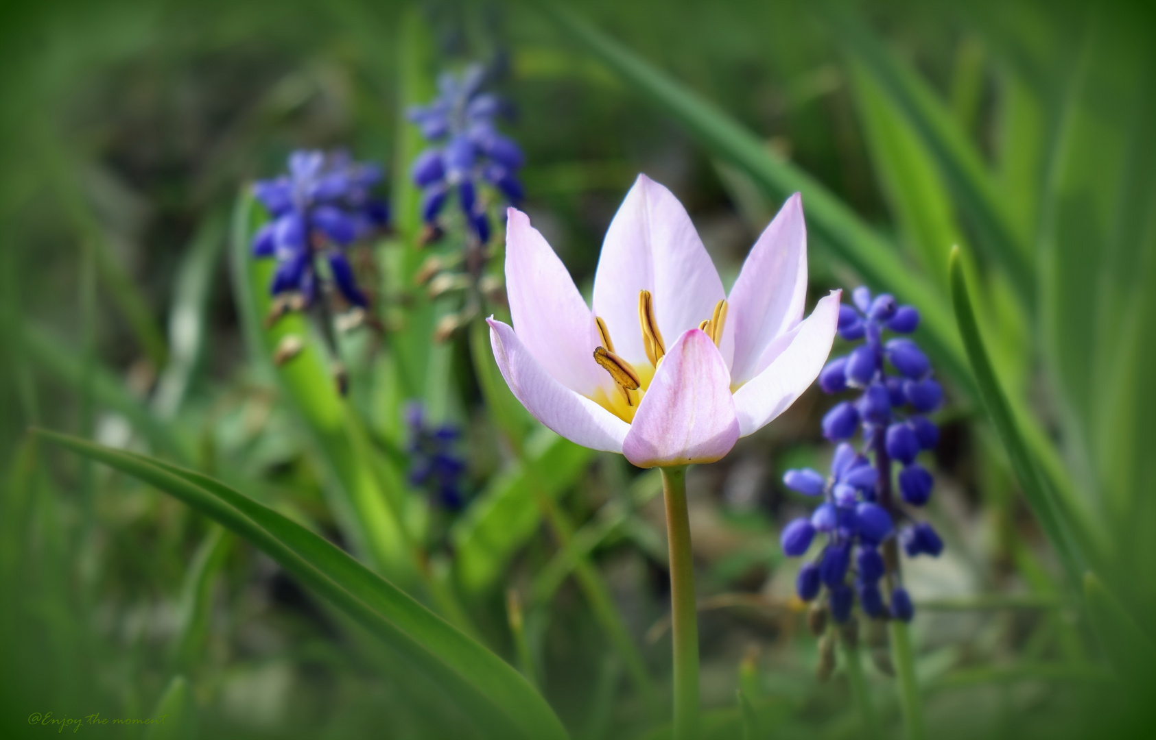 Ein Gefühl von Frühling