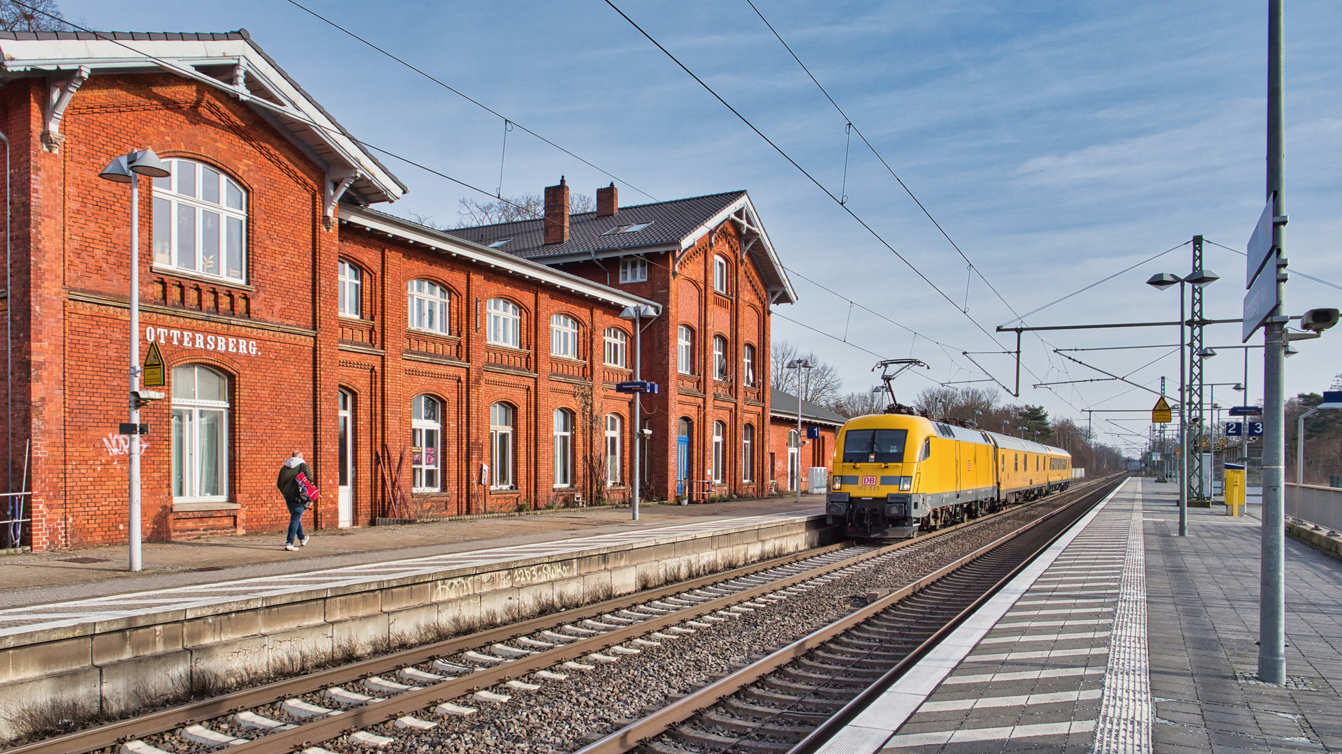 Ein gelber Stier in Ottersberg