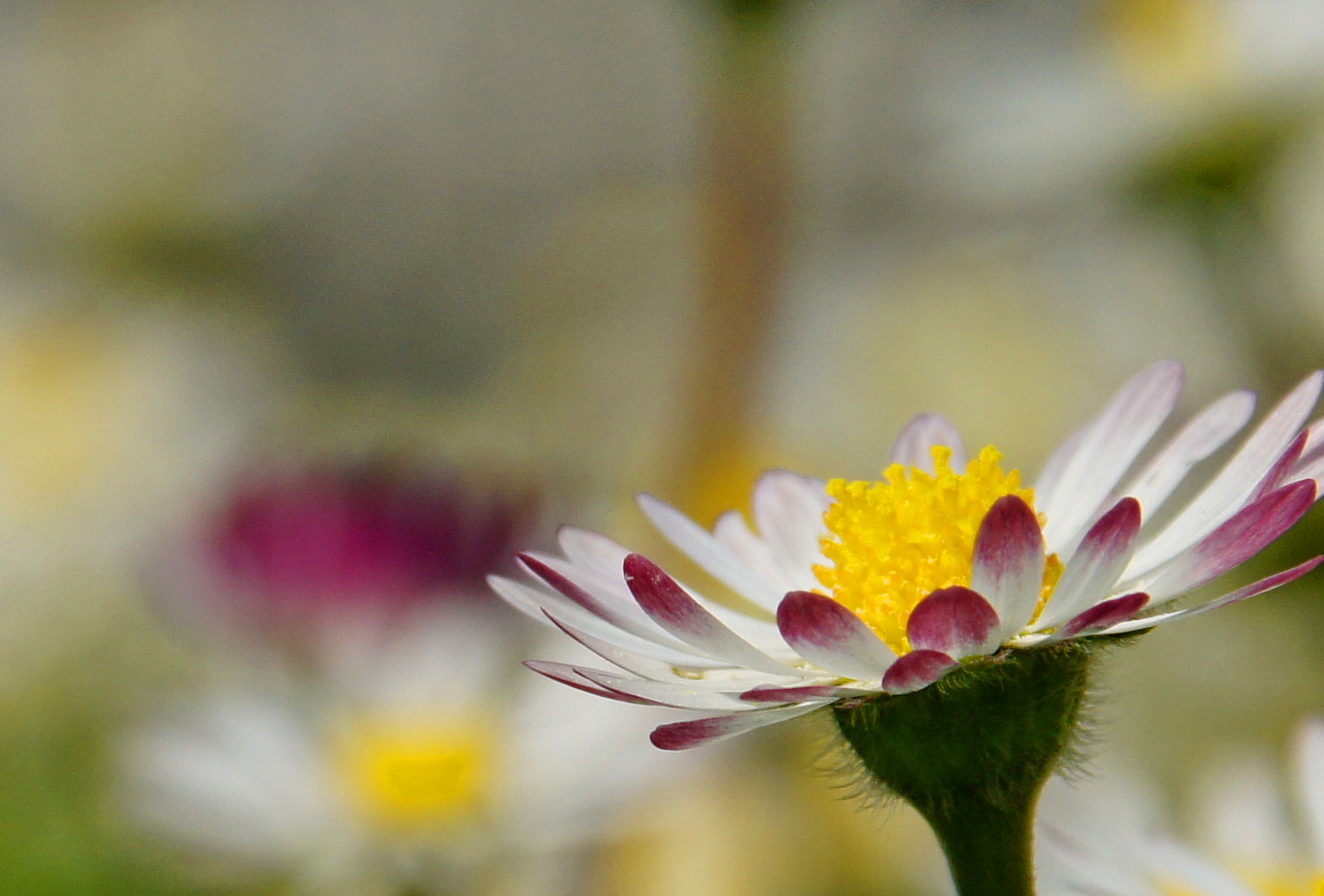 ein Gemälde der Natur