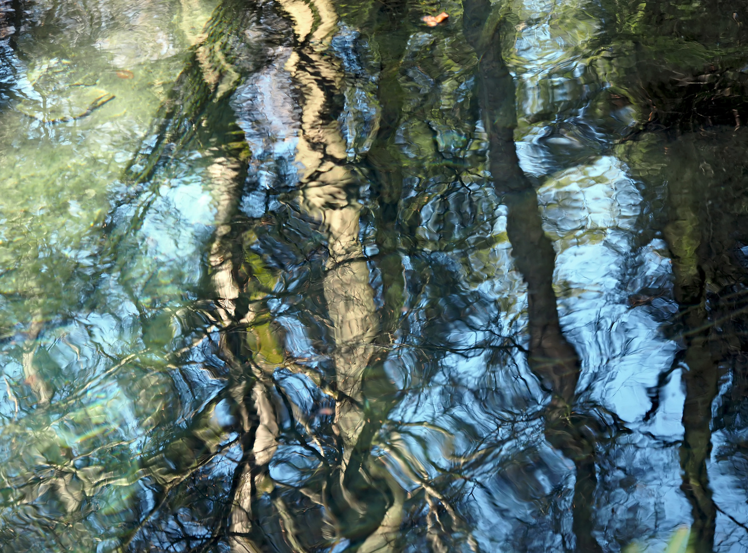 Ein Gemälde im Bergsee! - Un tableau artistique dans le lac de montagne!