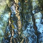 Ein Gemälde im Bergsee! - Un tableau artistique dans le lac de montagne!