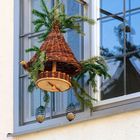 Ein gemütliches Vogel-Zuhause...