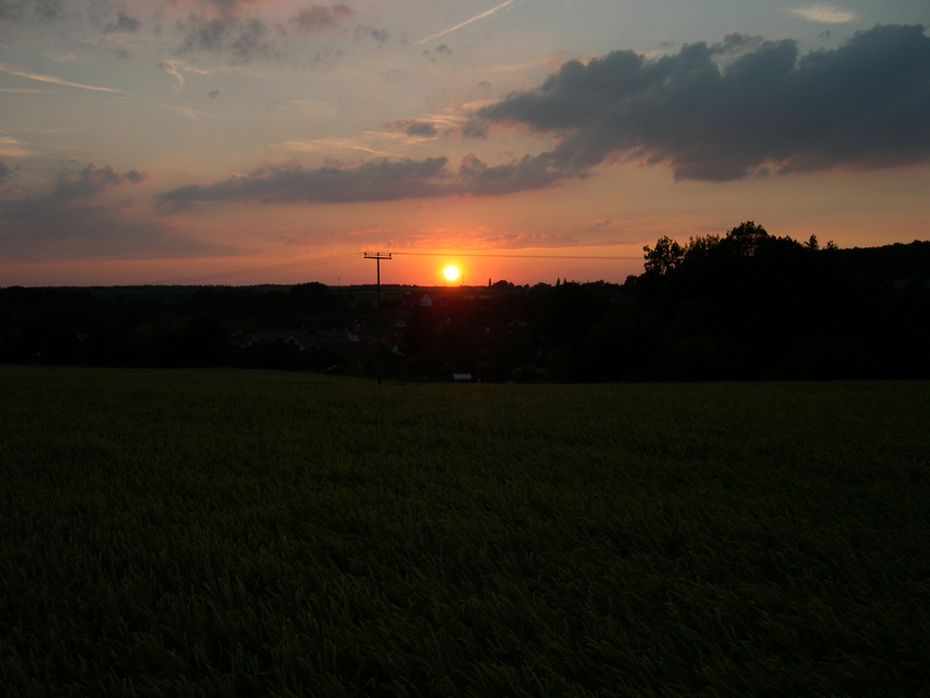 Ein Gerstenfeld am Abend