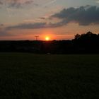 Ein Gerstenfeld am Abend