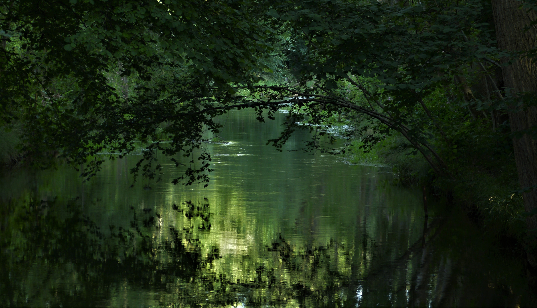 Ein Geschenk der Natur an uns alle...