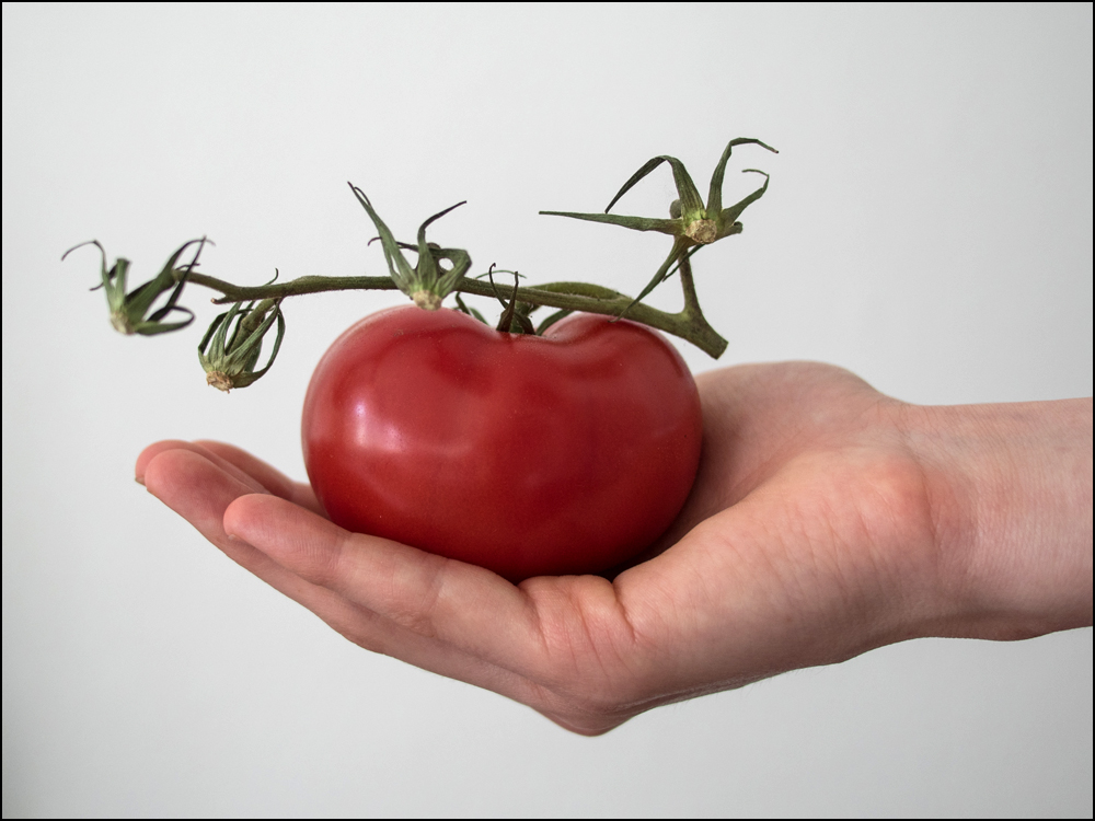 Ein Geschenk der Natur II