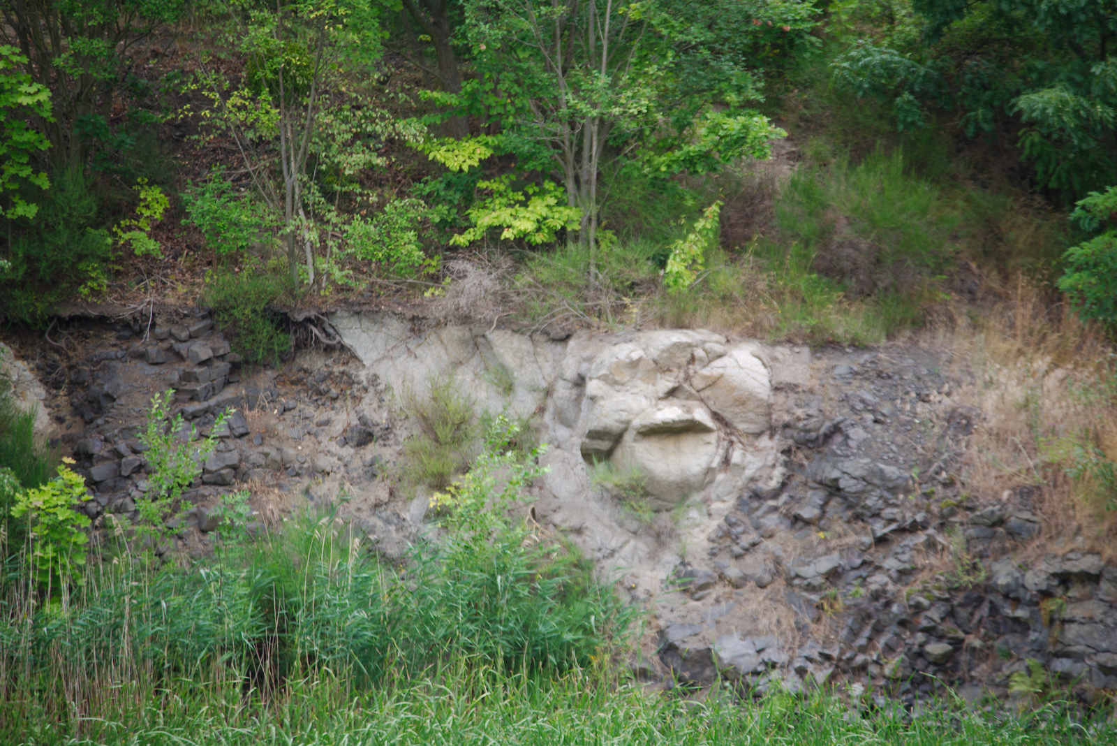 Ein Gesicht im Basalt 