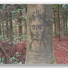 ein Gesicht im Wald