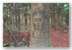 ein Gesicht im Wald