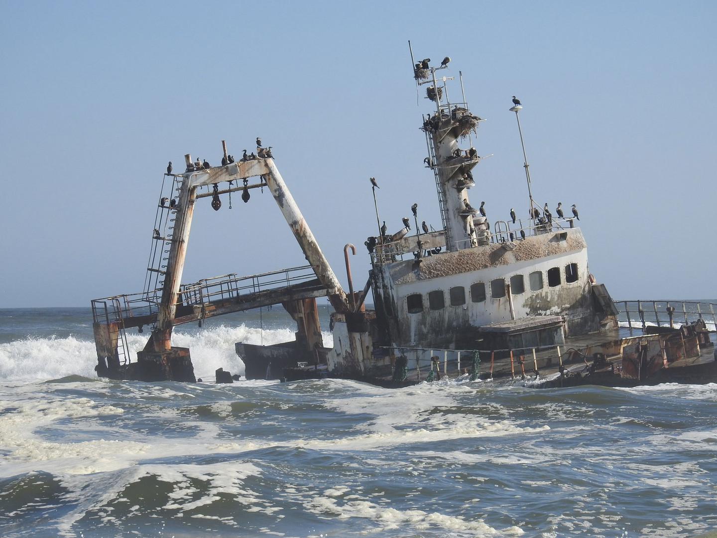 Ein gestrandeter Trawler bietet Brutplatz für Kormorane