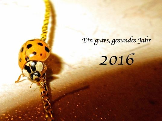 Ein gesundes, glückliches Jahr 2016