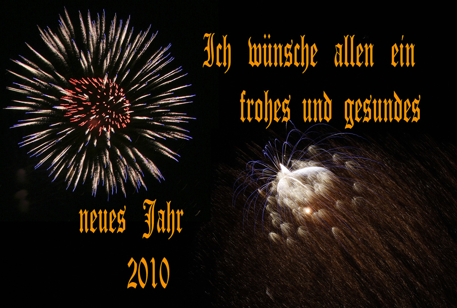 Ein gesundes neues Jahr 2010