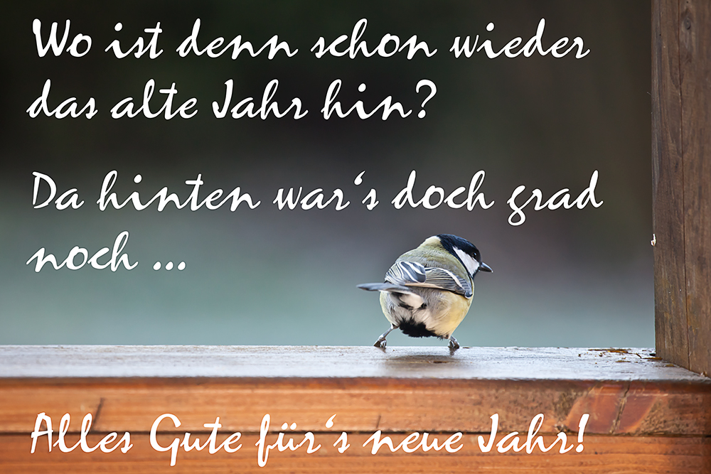 Ein gesundes, neues Jahr! Foto &amp; Bild karten und kalender