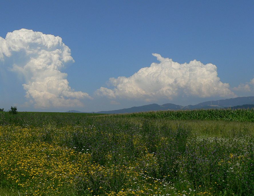 ein Gewitter baut sich auf