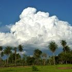 Ein Gewitter entsteht