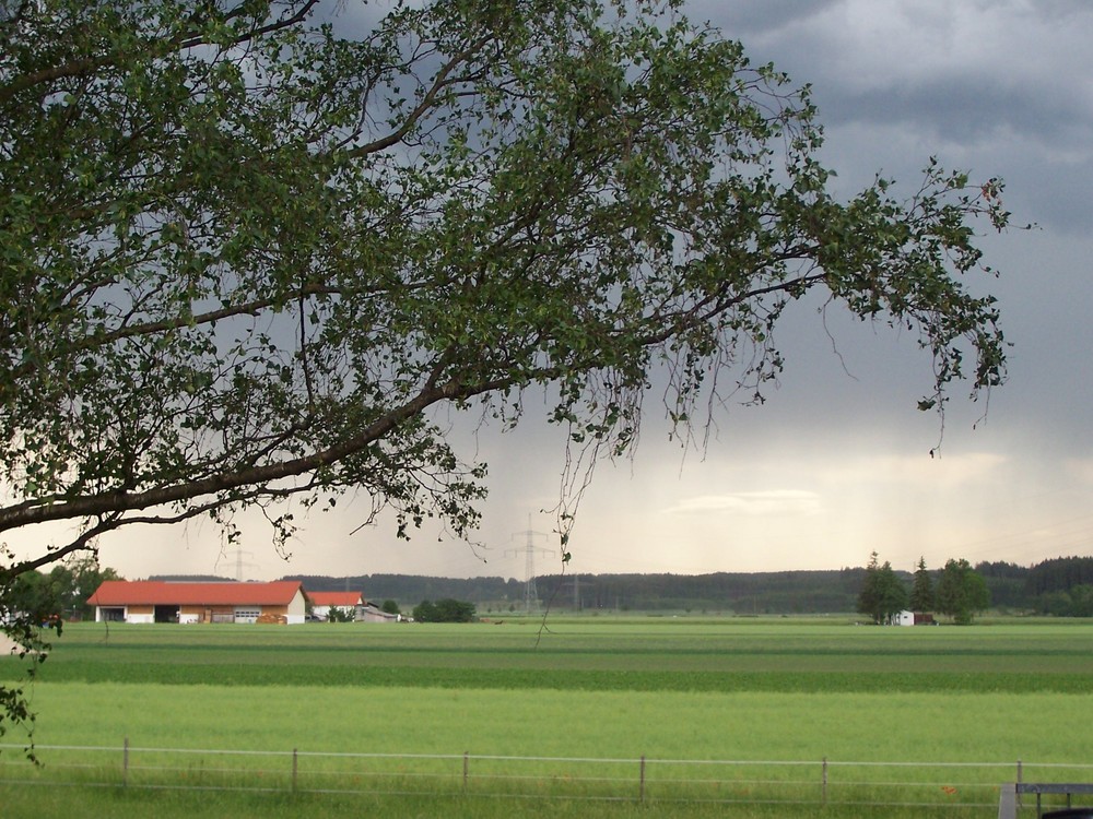 Ein Gewitter im Anzug!