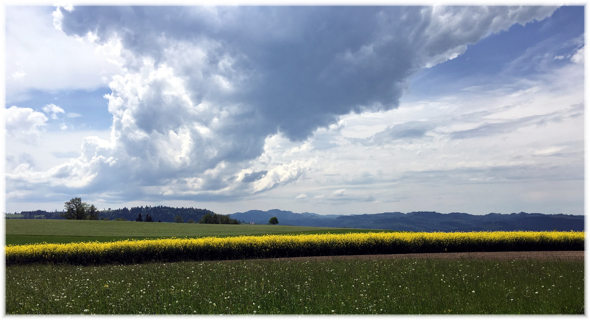 ein gewitter ist im anzug...