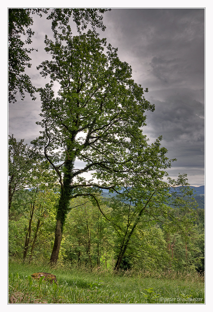 ein Gewitter naht