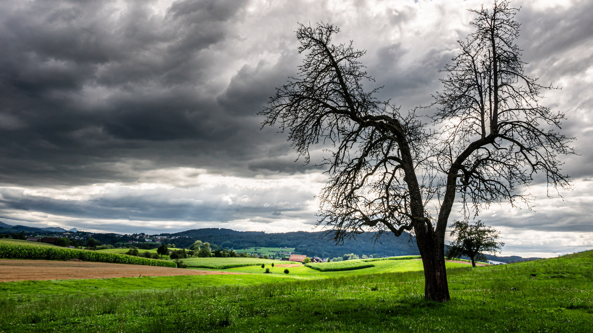 Ein Gewitter naht