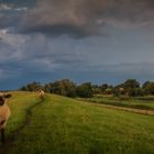 Ein Gewitter zieht auf