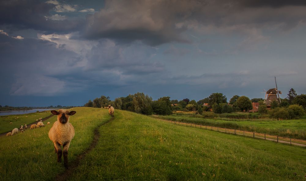 Ein Gewitter zieht auf