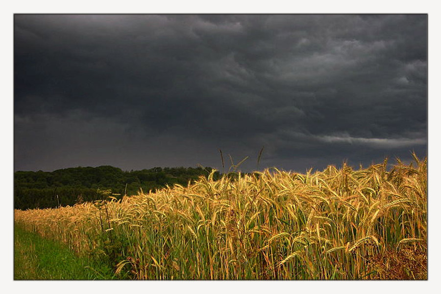 Ein Gewitter zieht auf -2-