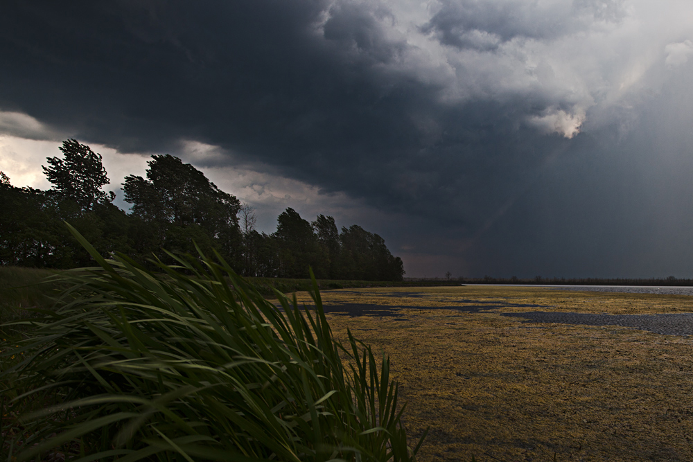 ein Gewitter zieht auf...